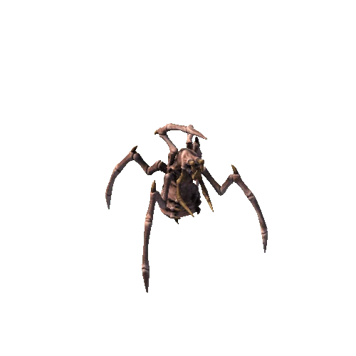 InsectTuskMonster_basemesh Light